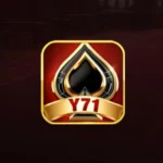 Y71