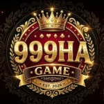 999HA Game
